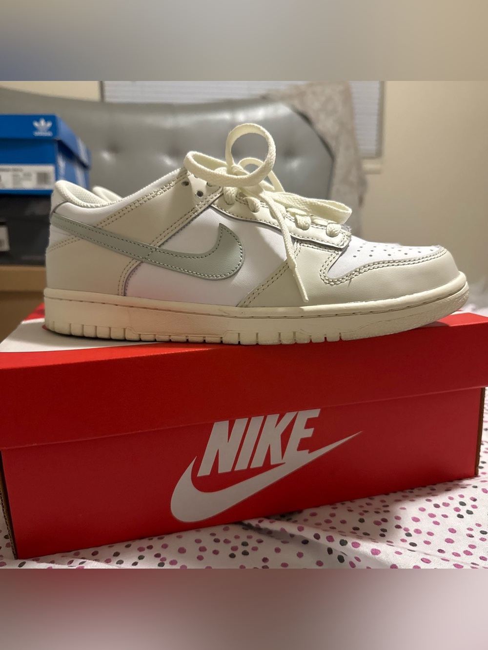 Nike Dunks Low (GS)